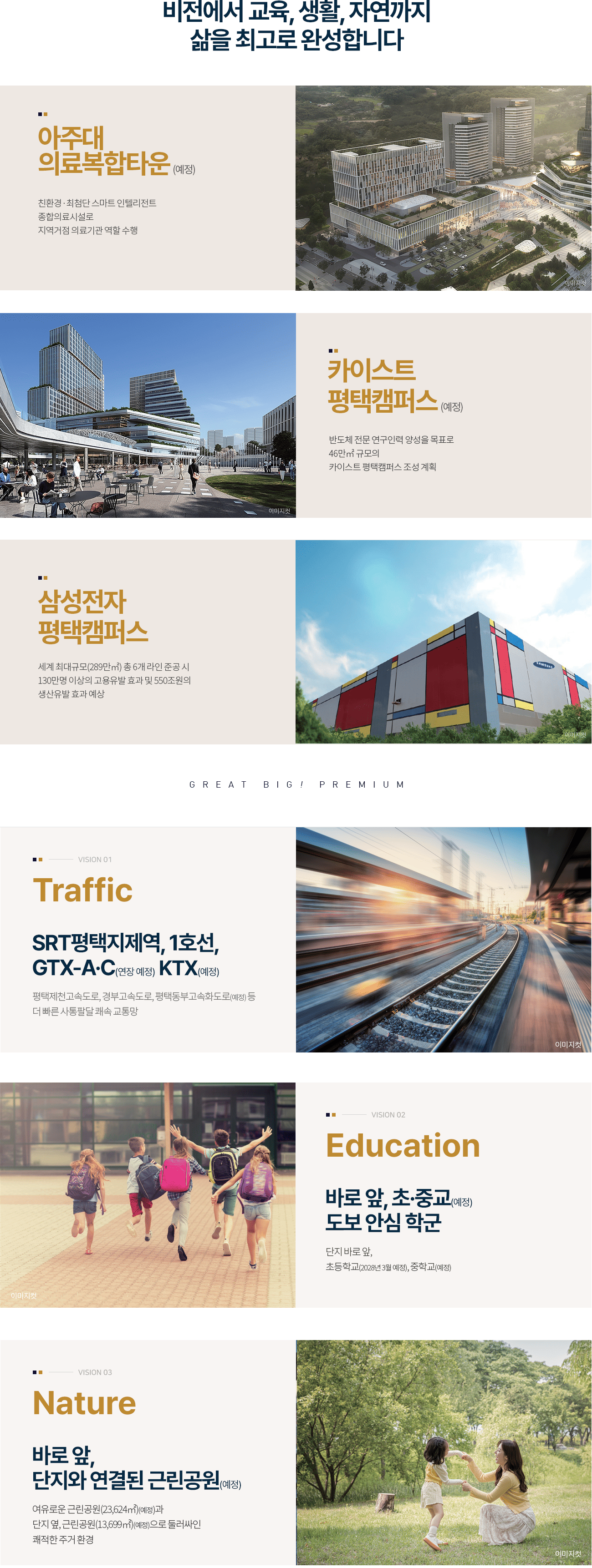 브레인시티 메디스파크 로제비앙 메가시티 프리미엄.png